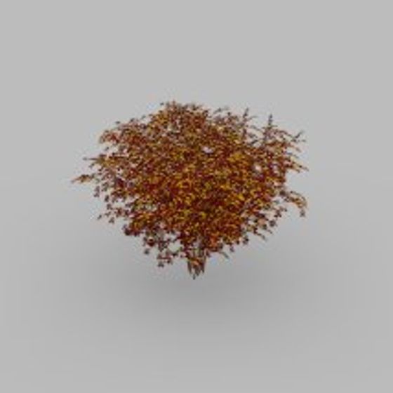Beautiful Autumn Maple Tree 3D model