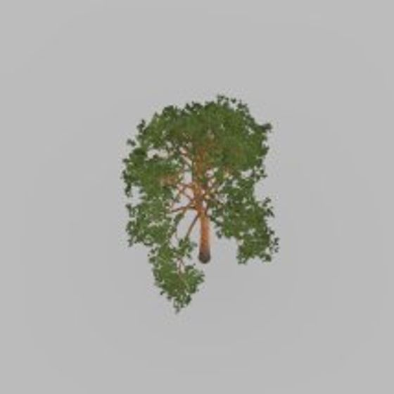 Realistic Low-Poly Oak Tree 3D Model