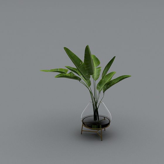 Elegant Glass Vase with Green Plant 3D model