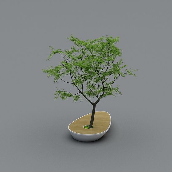 City Oasis 3D Model - Low Poly Tree Design
