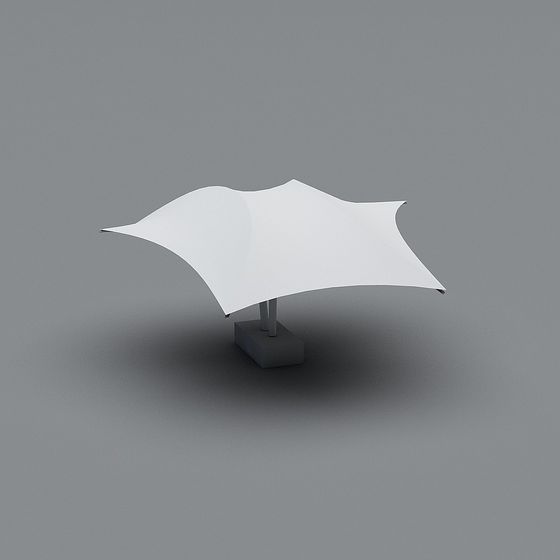 Suspended Wings 3D model
