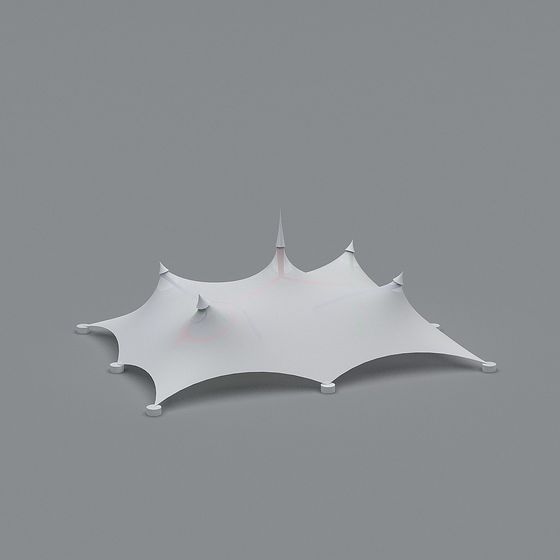 Spider Web Canopy 3D model