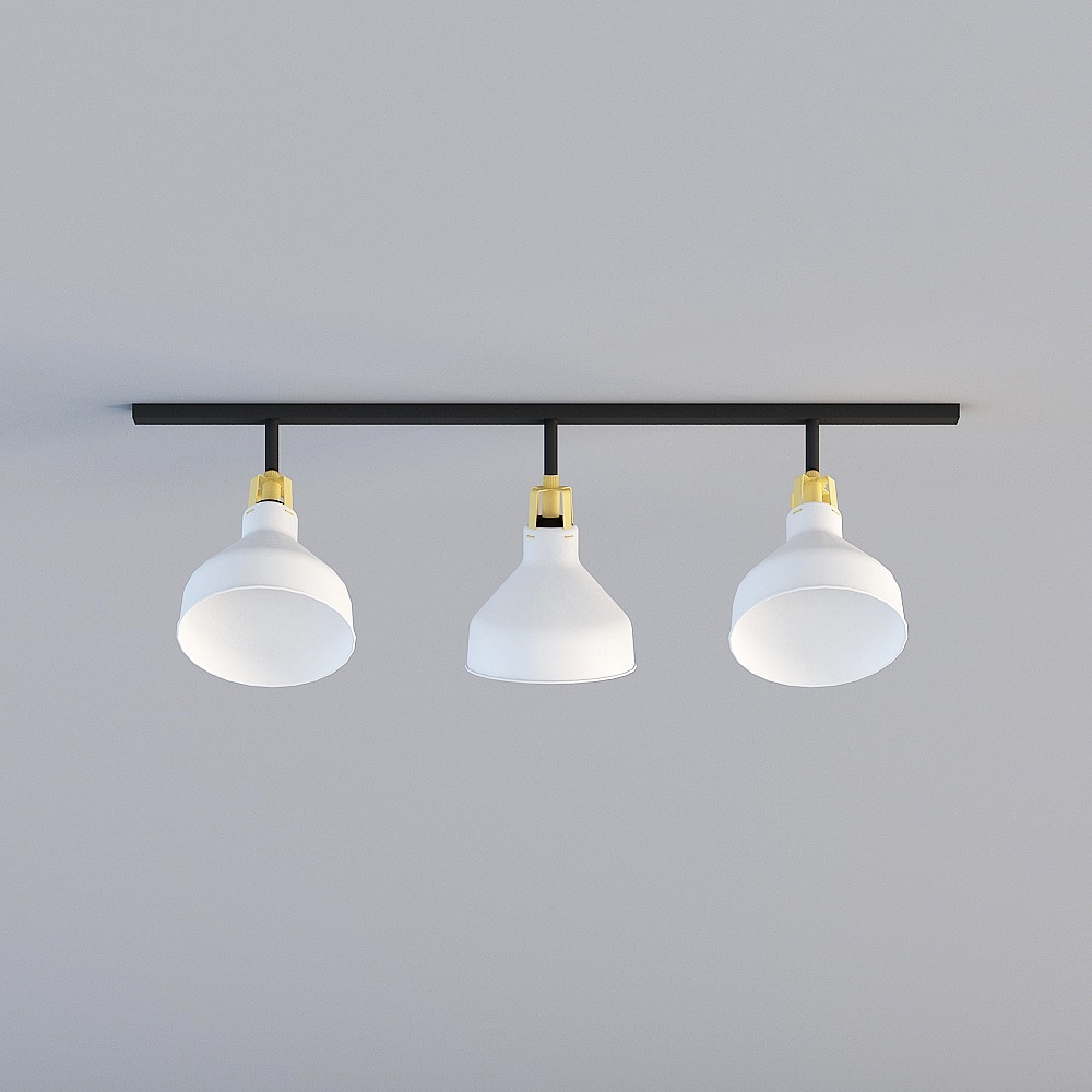 Industrial Style Ceiling Light 3D model