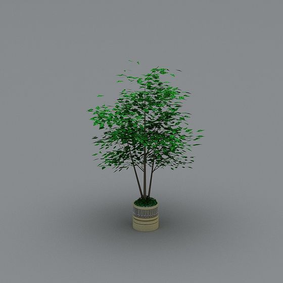 Urban Oasis 3D Model