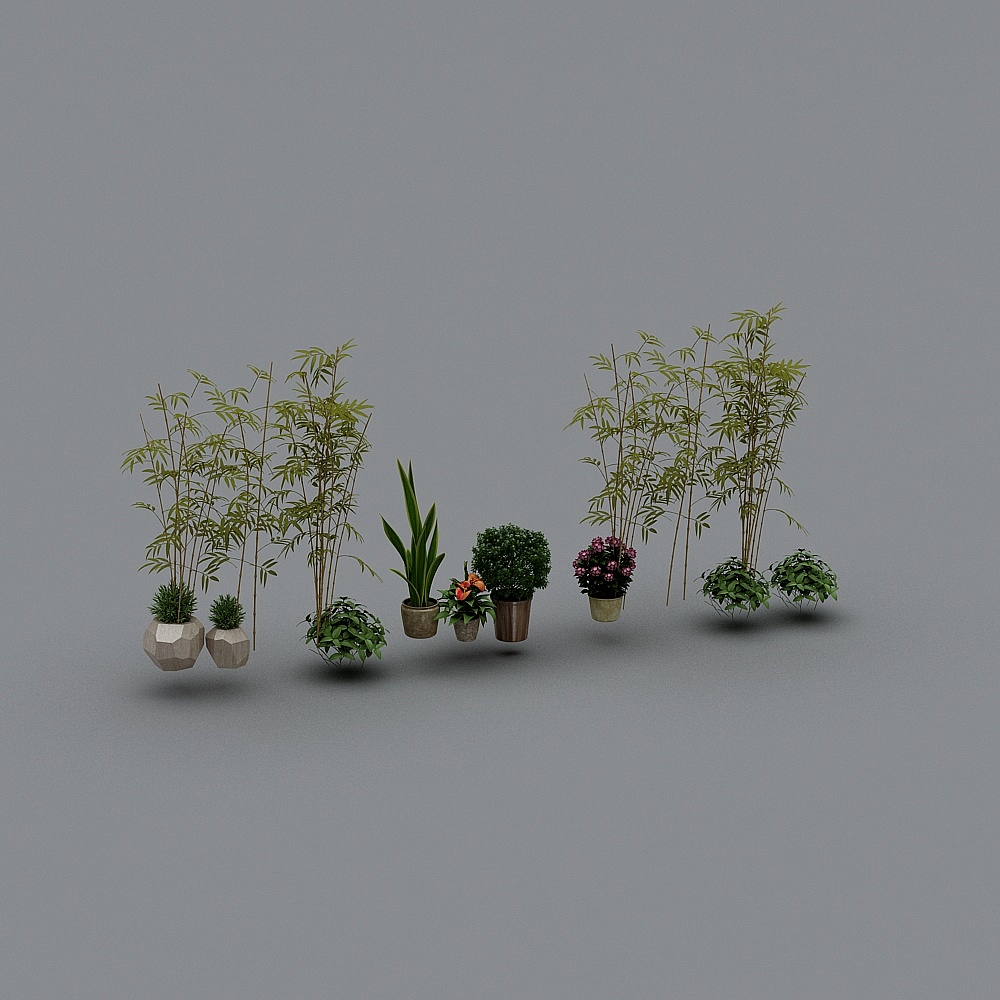 Green Plants-LS