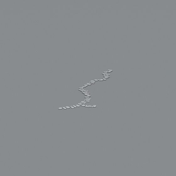 Realistic Low-Poly Seagull 3D model