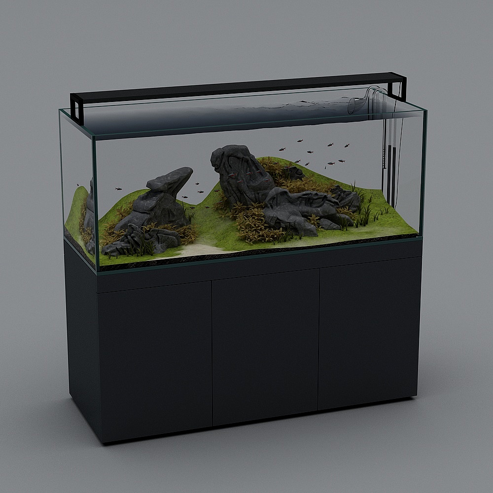 fish tank