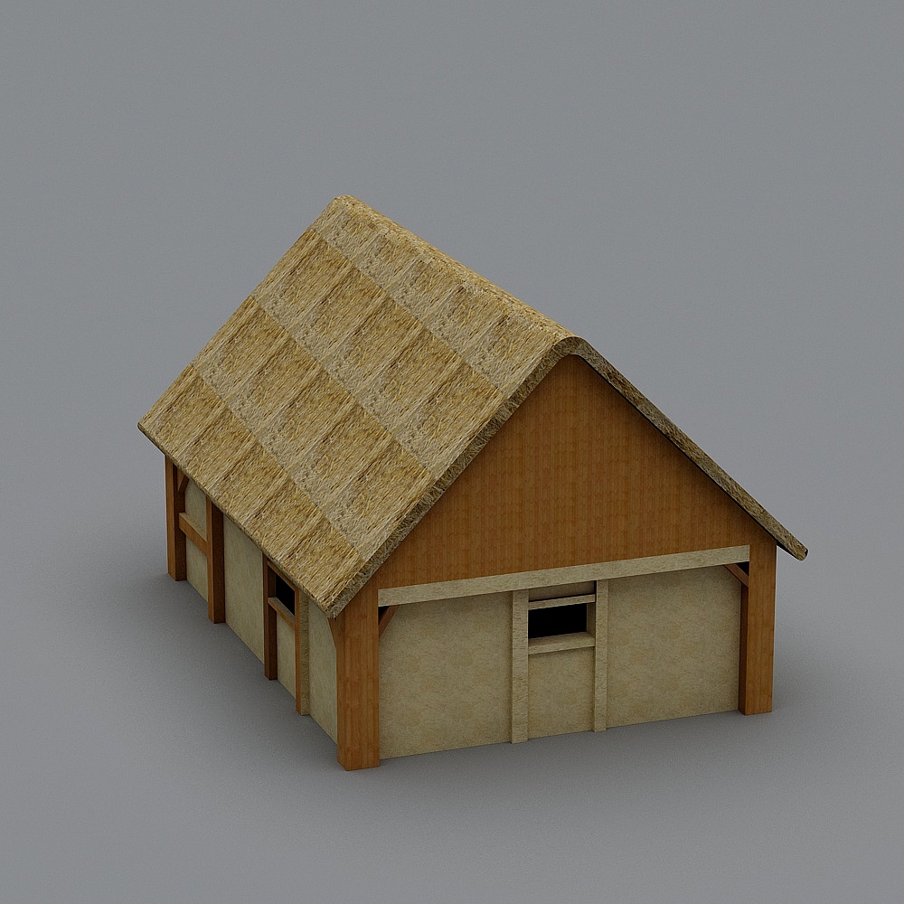 Japanese thatched house