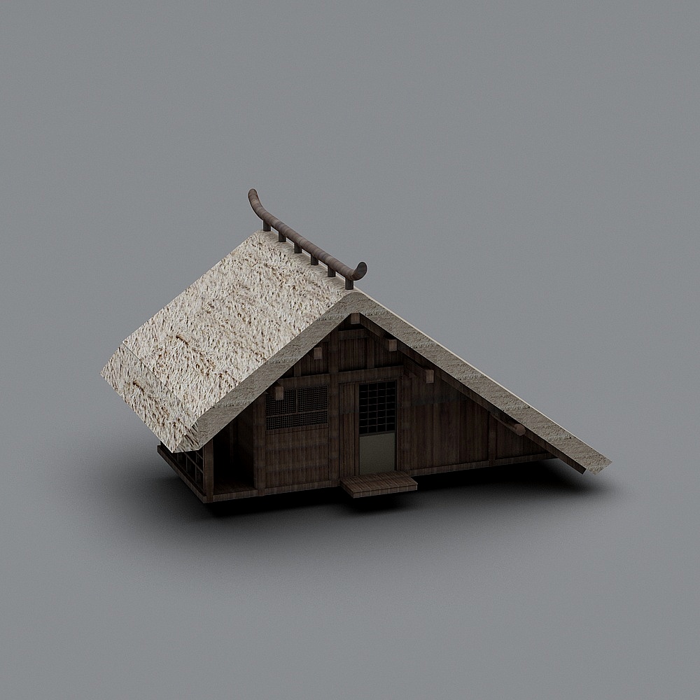 Japanese thatched house
