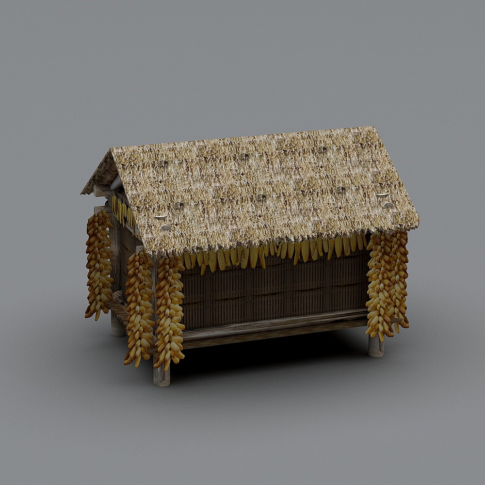 Japanese thatched house