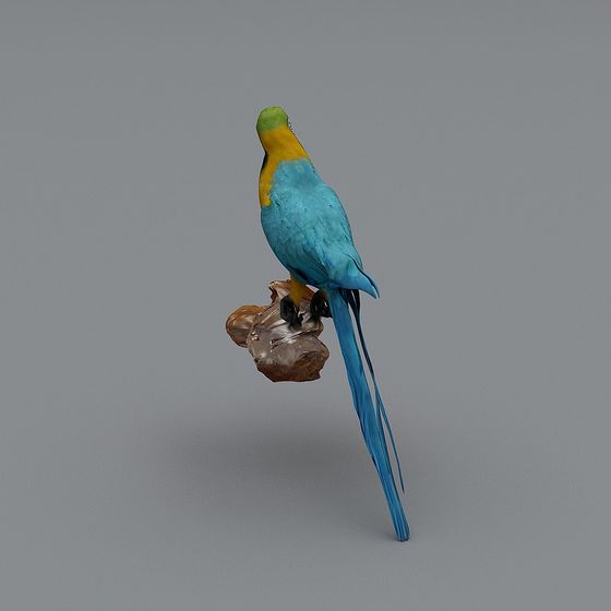 Rainforest Spirit 3D model