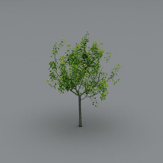 Youthful Tree 3D Model for Creative Projects