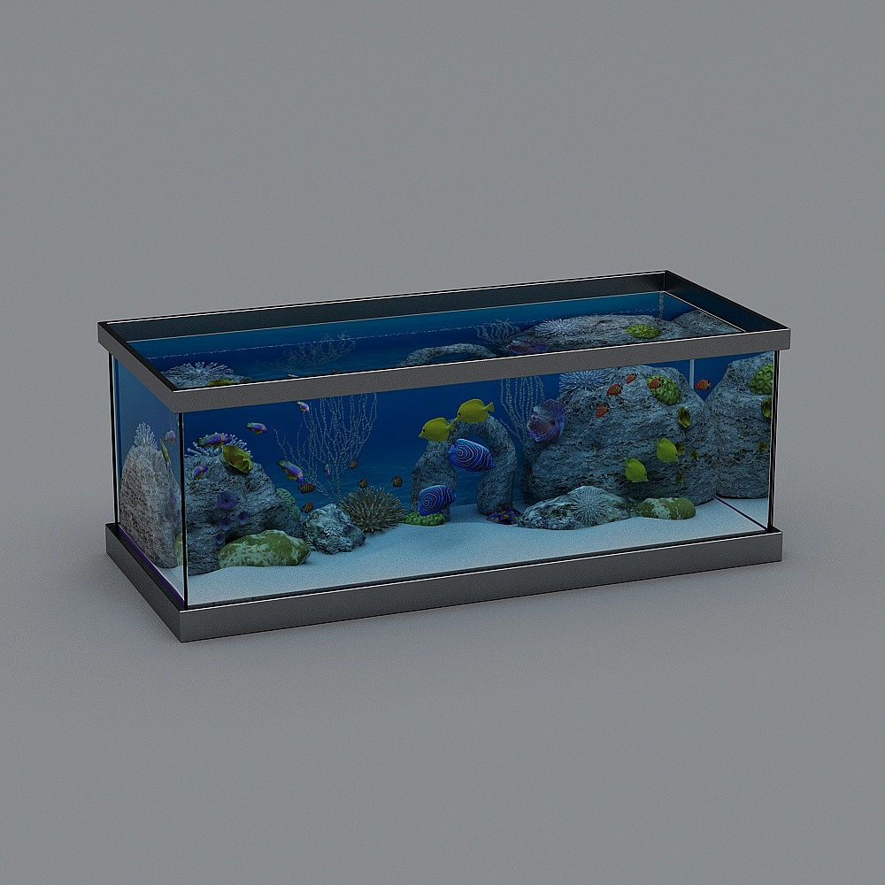 鍾曉芹家-魚缸-1