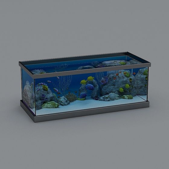 鍾曉芹家-魚缸-1