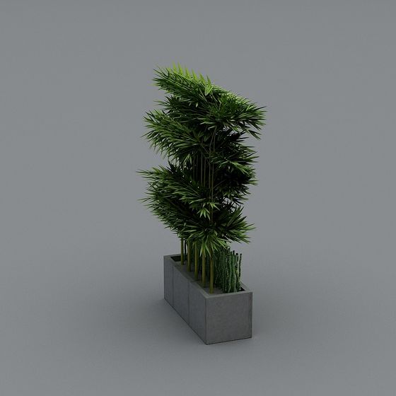 Realistic Low-Poly Palm Tree 3D model