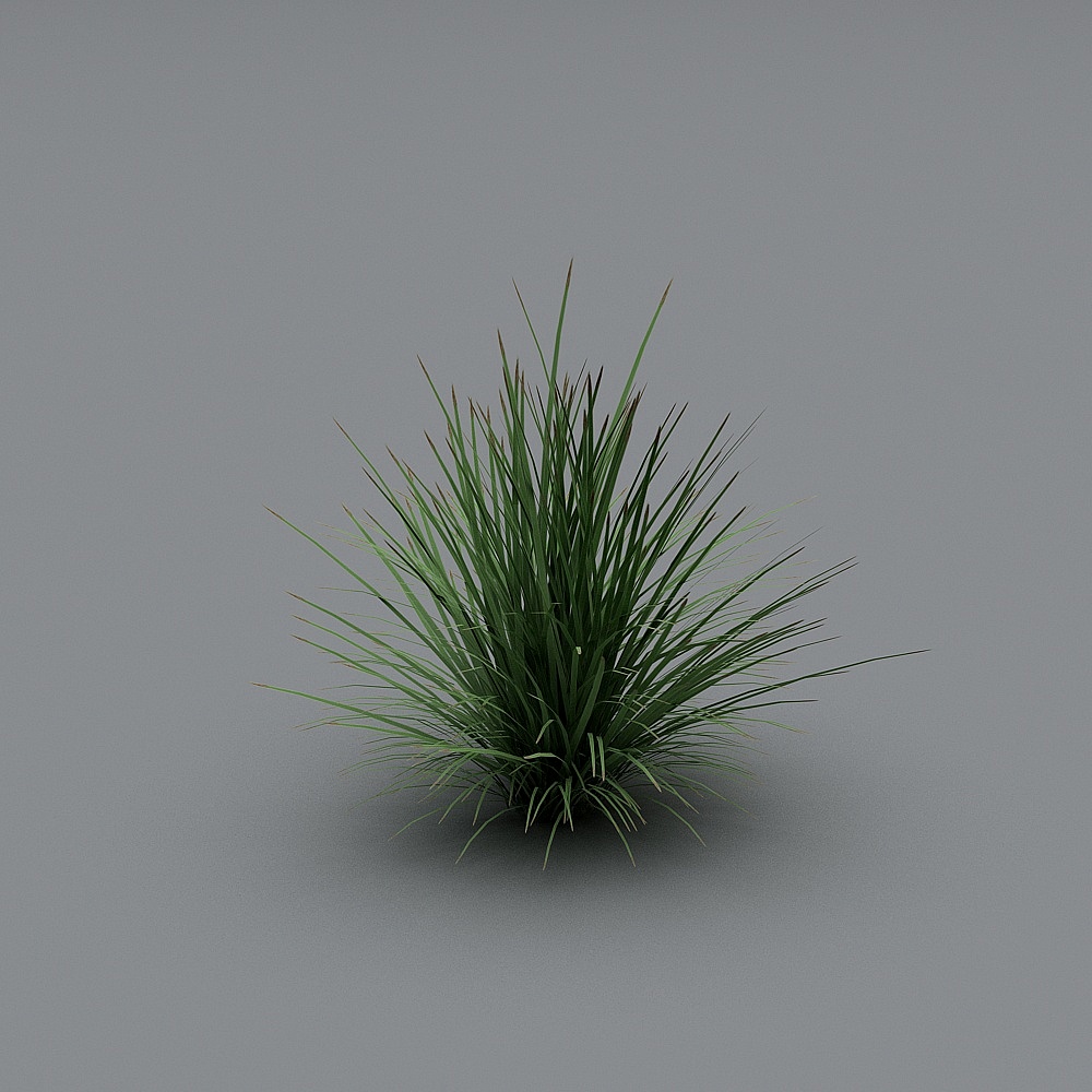 Lush Grass 3D Model for Vibrant Design Projects