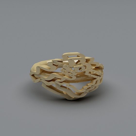 Labyrinth Ring 3D model