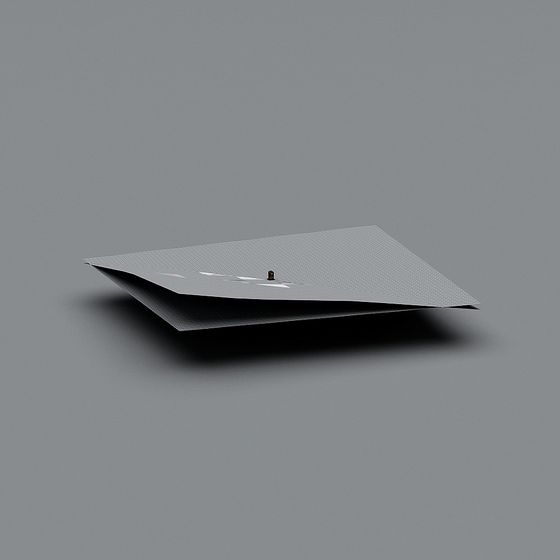 Origami Art 3D Model