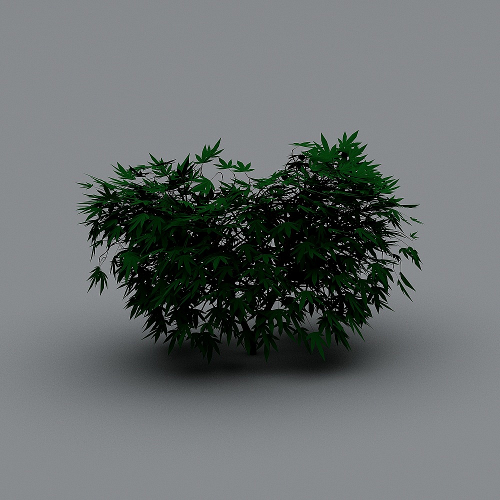 Lively Green 3D Plant Model for Creative Projects