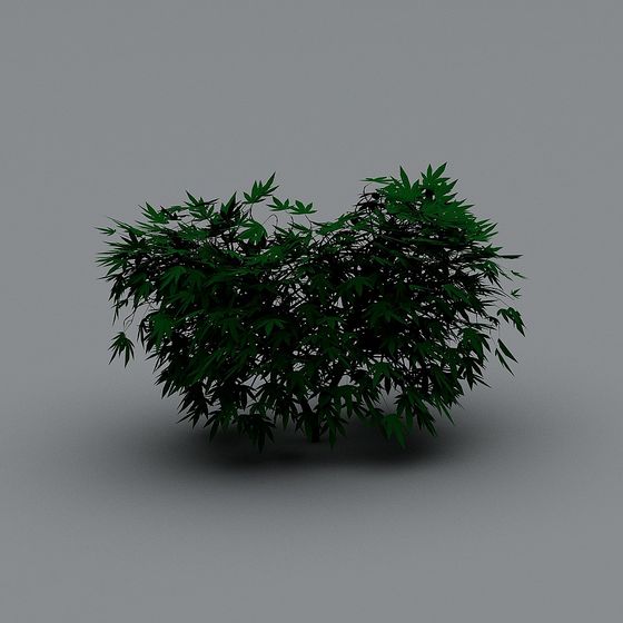 Lively Green 3D Plant Model for Creative Projects