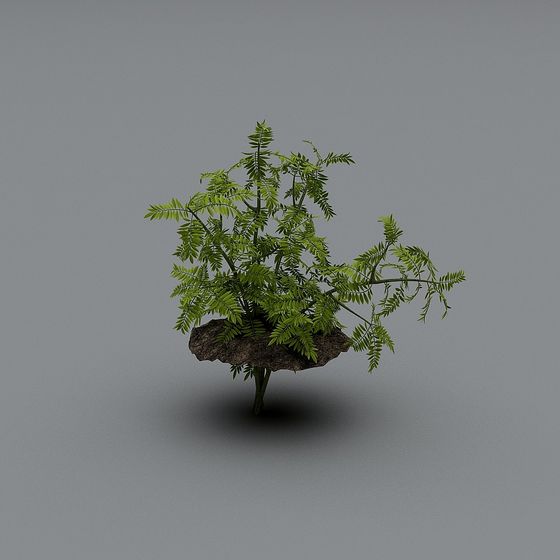 Lively Green Sprout on Rock 3D model