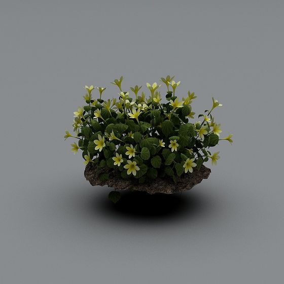 Rock Garden 3D model