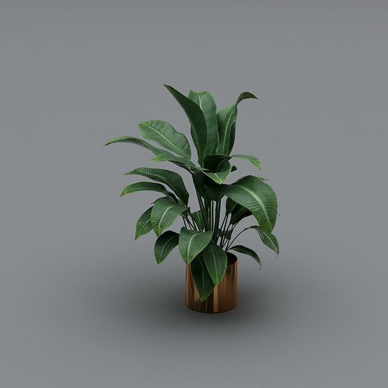 Vibrant Tropical Green Plant 3D Model