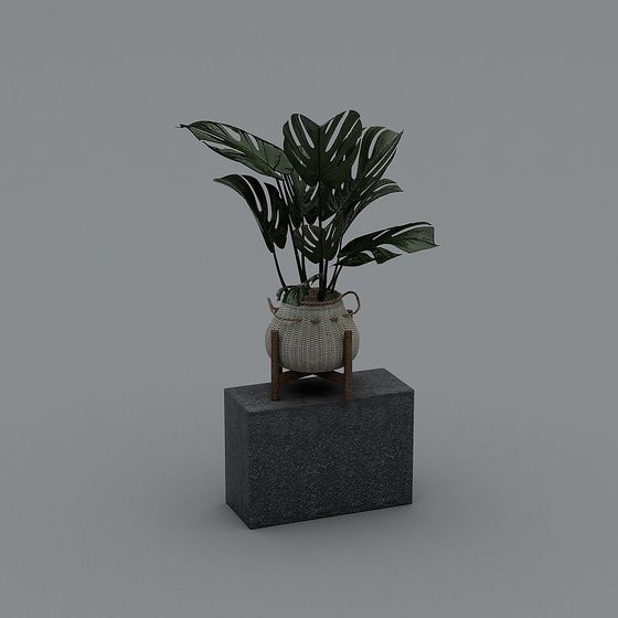 Monstera Plant Stand 3D model