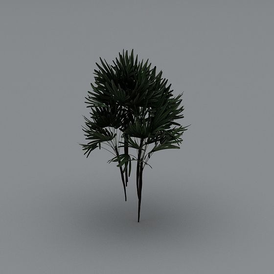 Tropical Palm 3D model