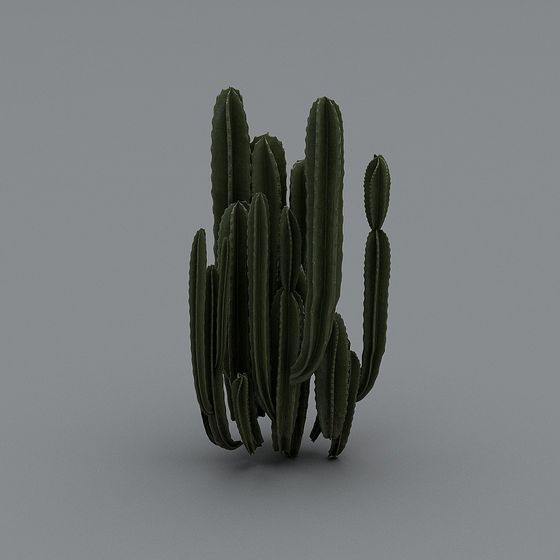 Realistic Low-Poly Cactus 3D Model