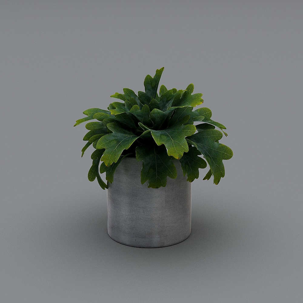 Plantación de macetas