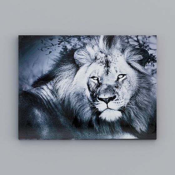 Majestic Lion 3D Model - King of the Forest