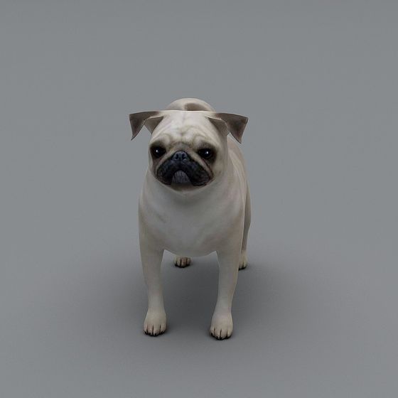 Cute Pug Dog Low Poly 3D Model