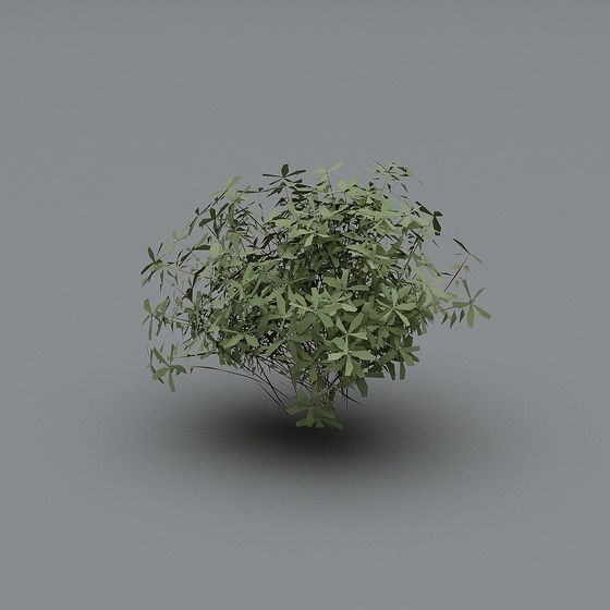 Soul of the Jungle 3D model for Creative Projects