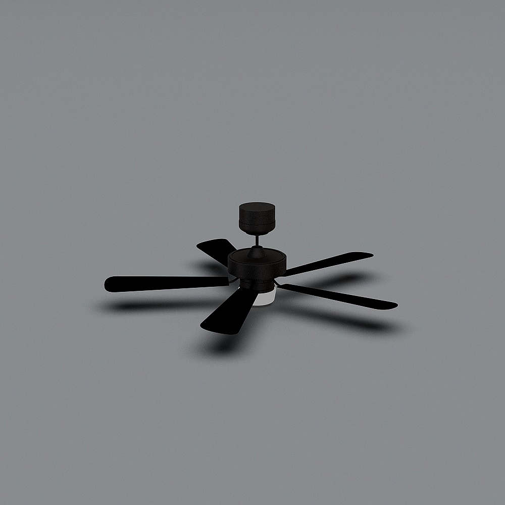 ceiling fan