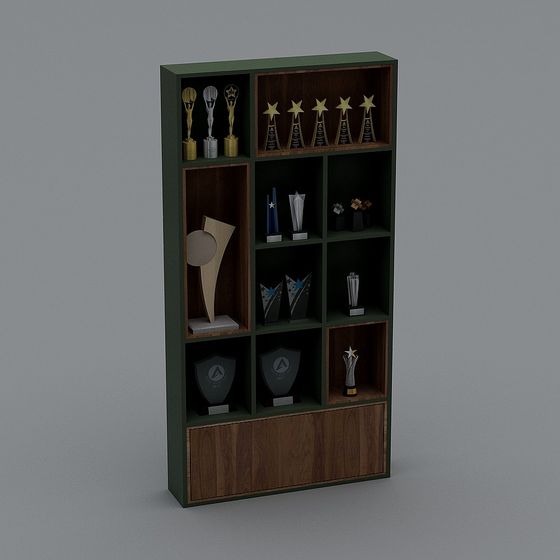 Award Display Case 3D model