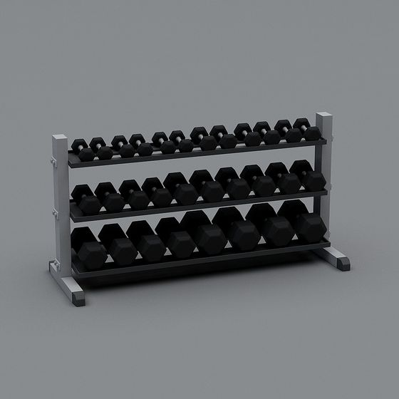 Stylish Dumbbell Rack 3D model for Fitness Spaces