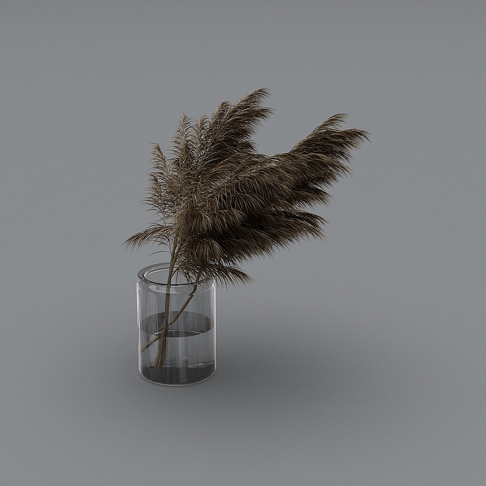 Florero con planta marchita