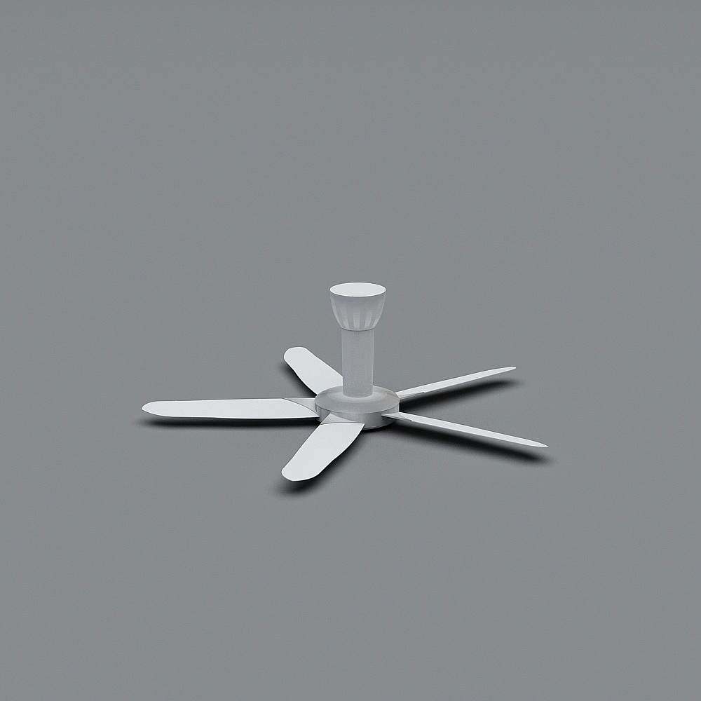 Ceiling Fan