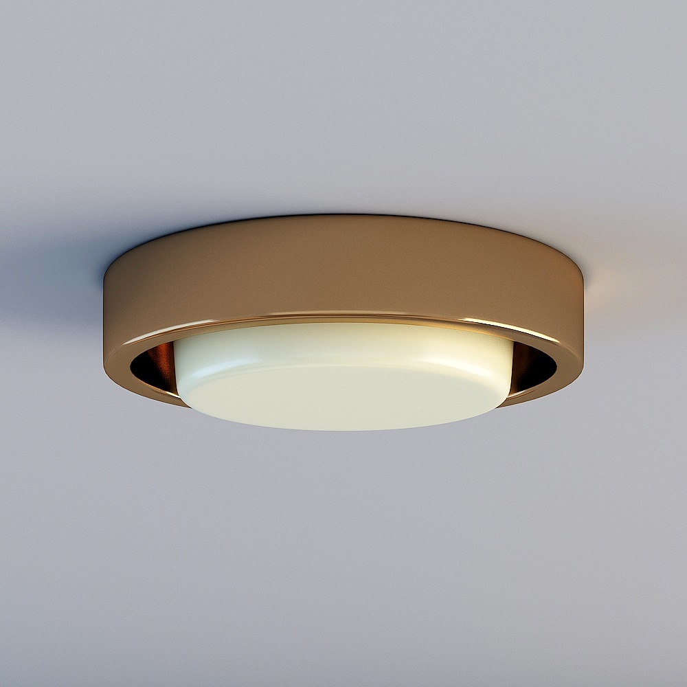 Ceiling light
