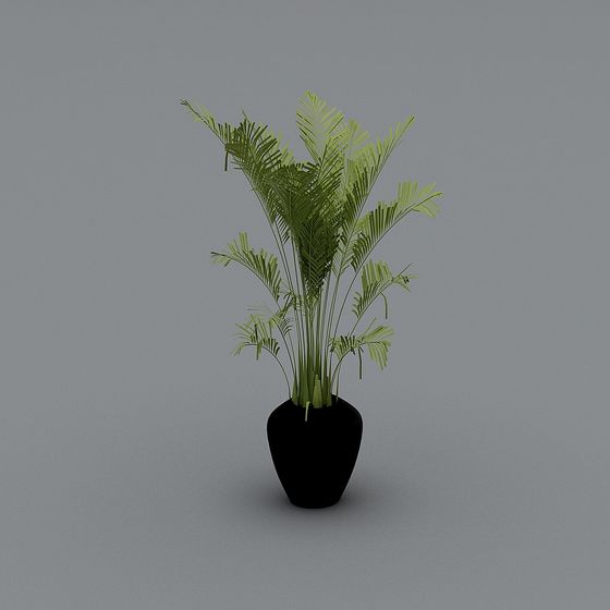 Realistic Palm Tree 3D model for Creative Projects