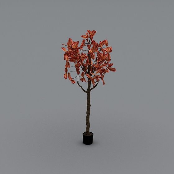Vibrant Red Maple Tree 3D model