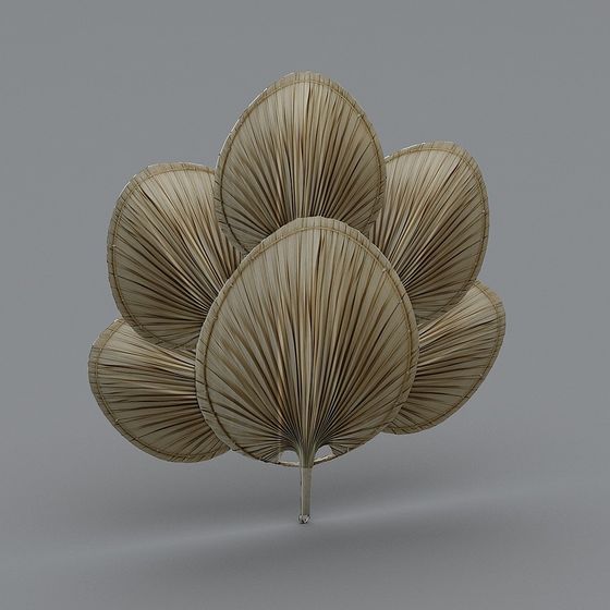 Beige dried palm leaf wall light with fan shape on grey background