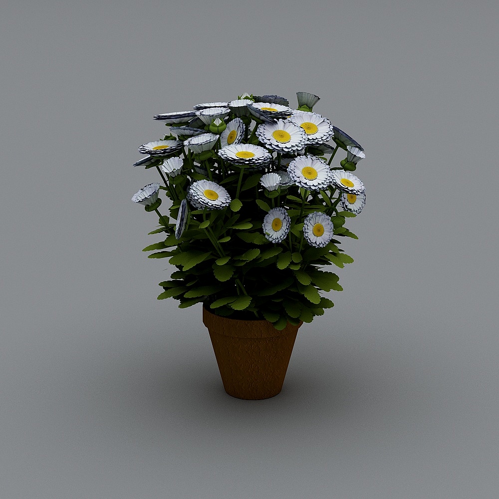 Charming Daisy Flower Pot 3D model