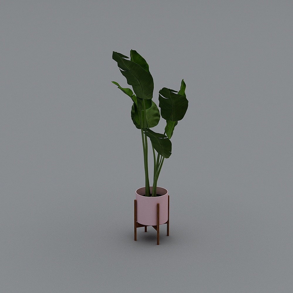 Urban Greenery Low-Poly Plant Pot 3D model