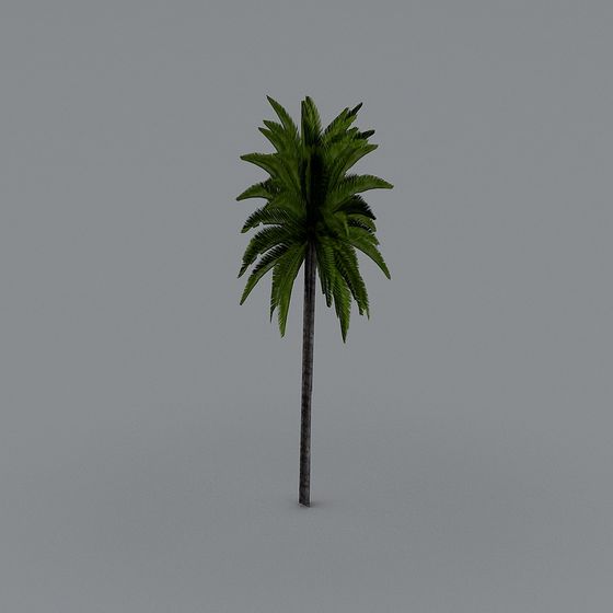 Vibrant Palm Tree 3D Model for Tropical Scenes