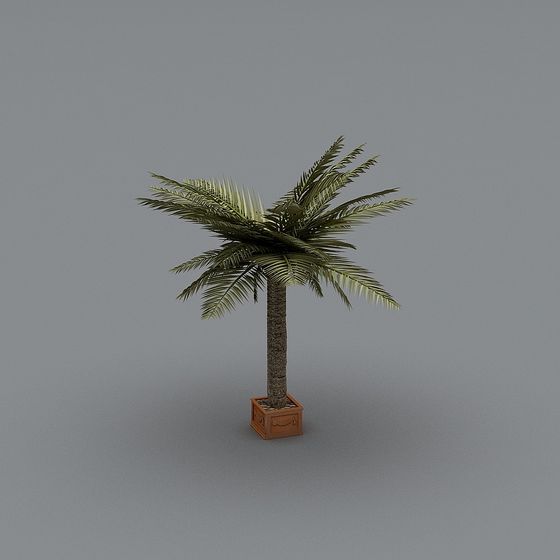 Charming Low-Poly Palm Tree Potted Plant 3D model