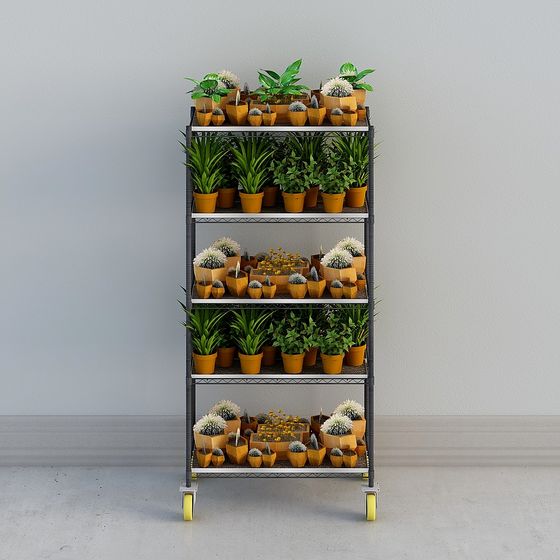 Stylish Plant Display Rack 3D model