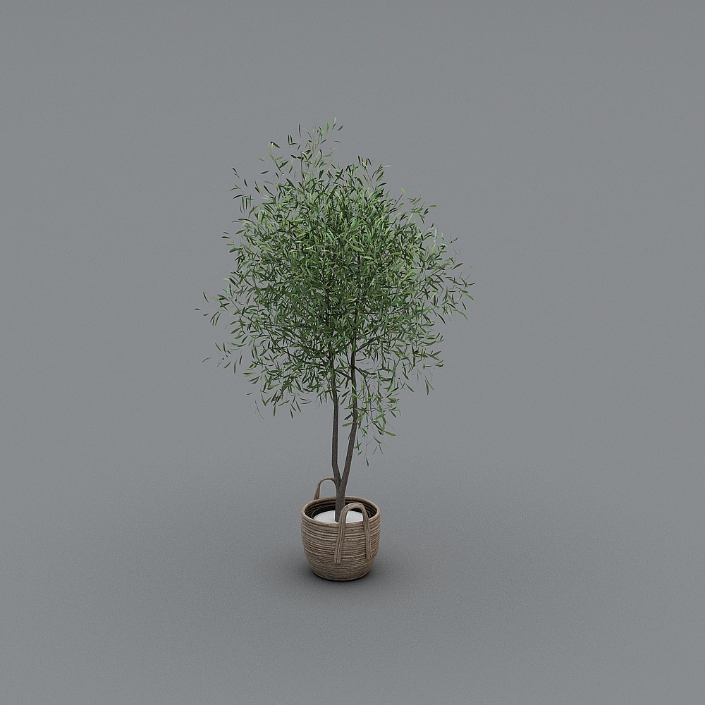 Lush Indoor Plant 3D model