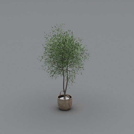 Lush Indoor Plant 3D model